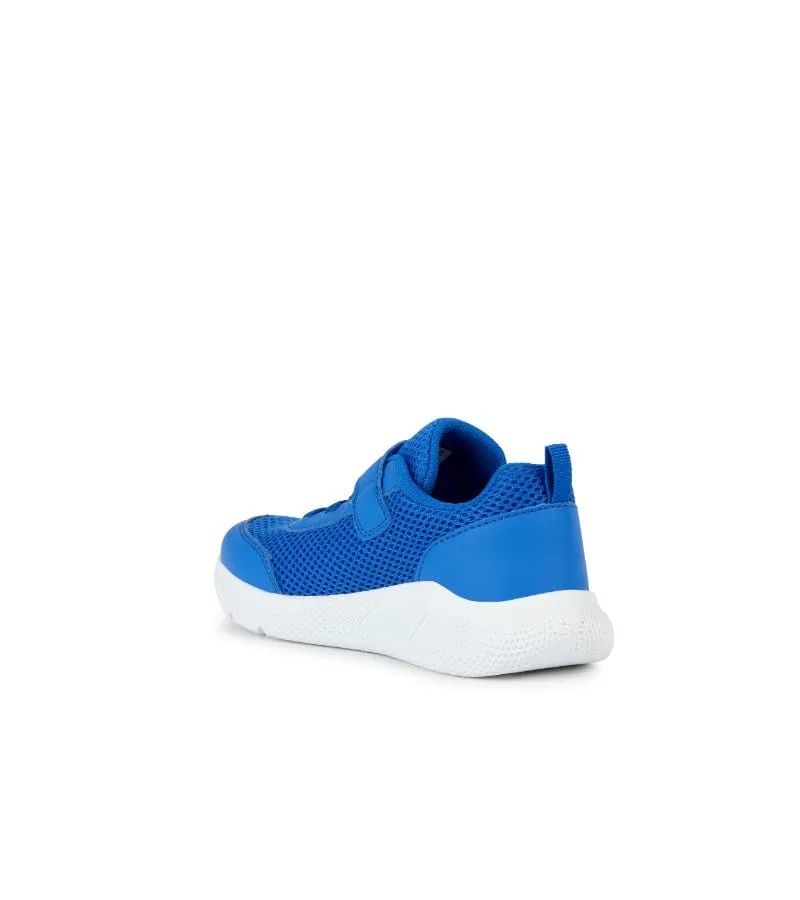 Geox Junior Boys Blue Runners J36GBA