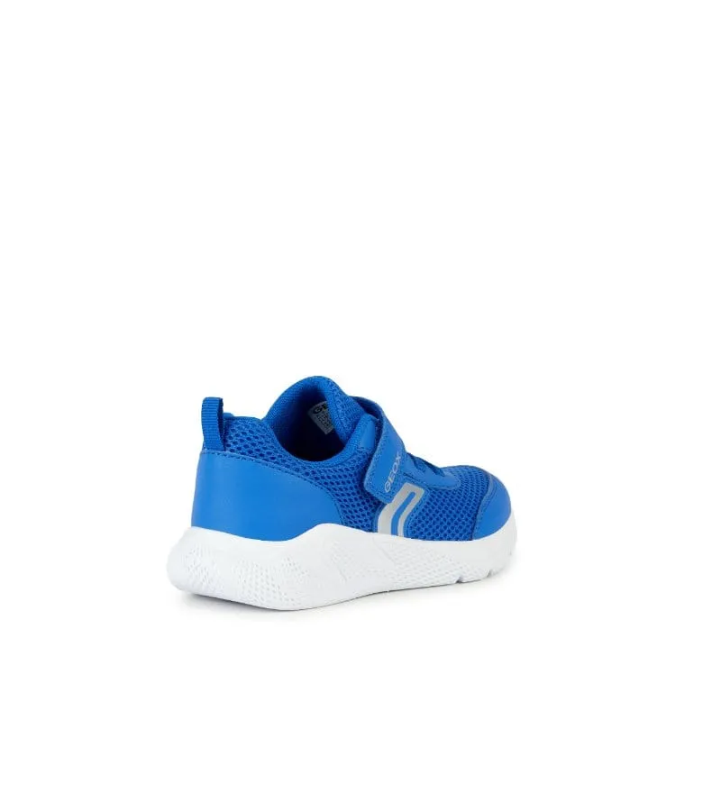 Geox Junior Boys Blue Runners J36GBA