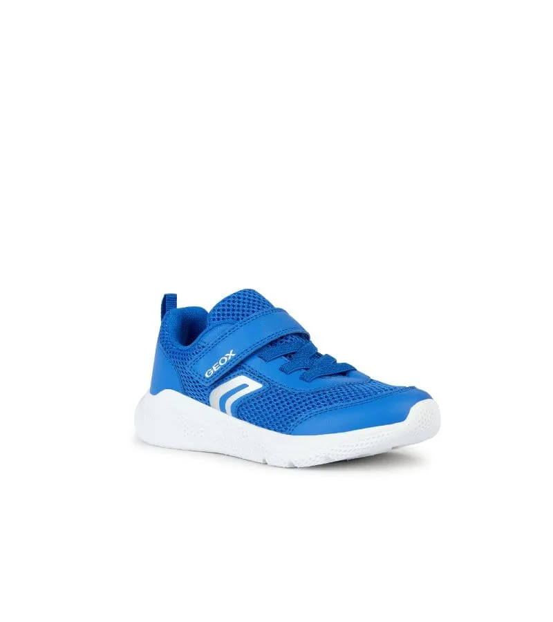 Geox Junior Boys Blue Runners J36GBA