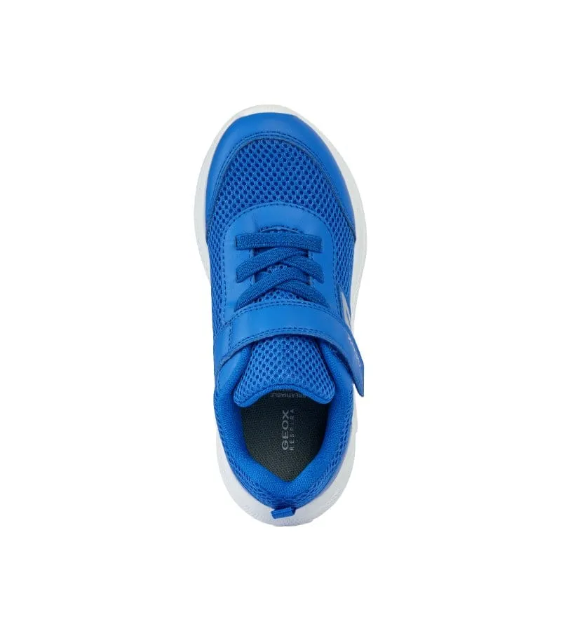 Geox Junior Boys Blue Runners J36GBA